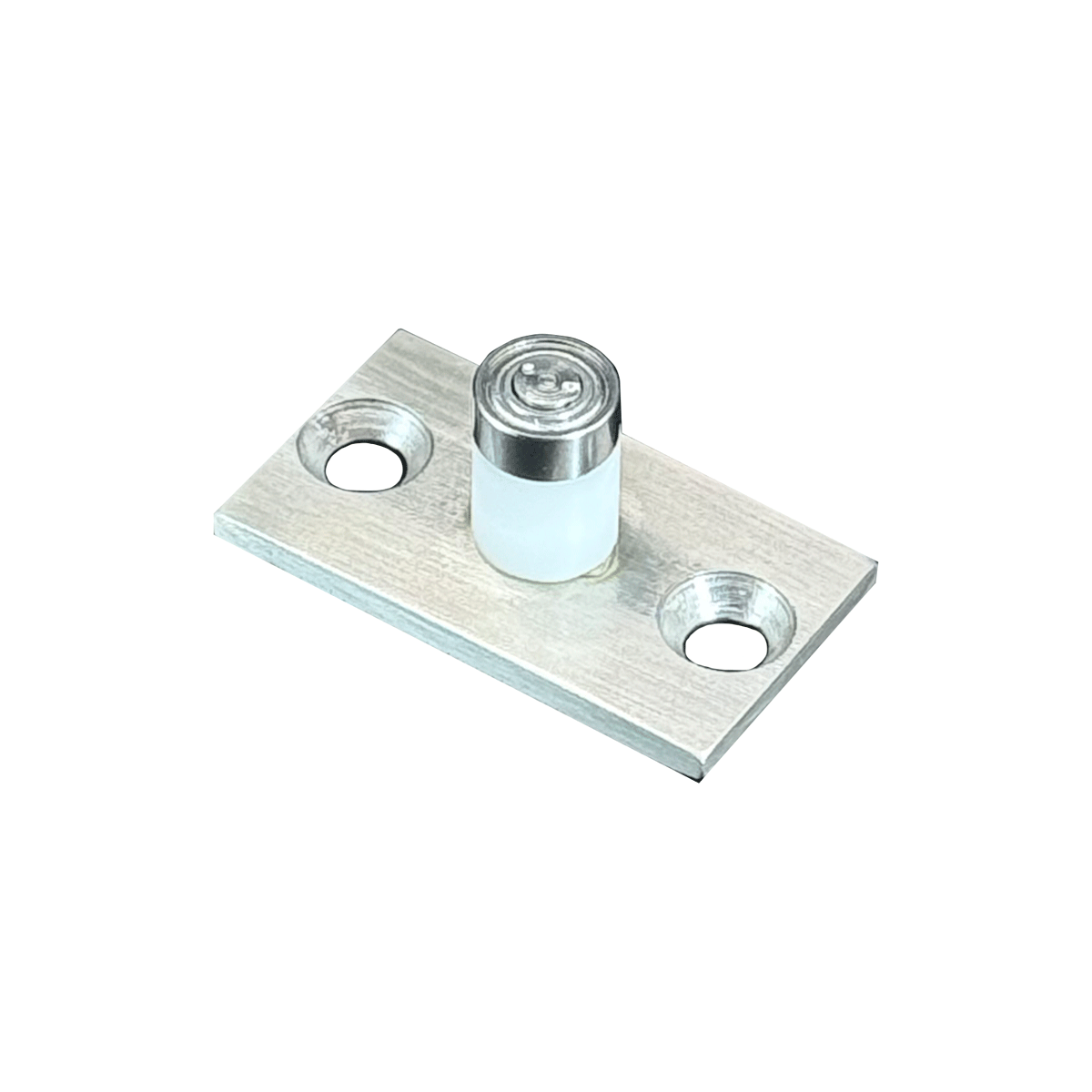 Rolete Ø9mm-Pino Guia Inox 304-598 RC